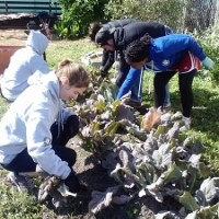 PASS Americorp Photo